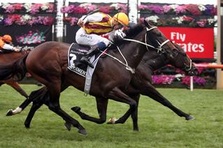 Preferment (NZ) wins the Australian Cup at Flemington 